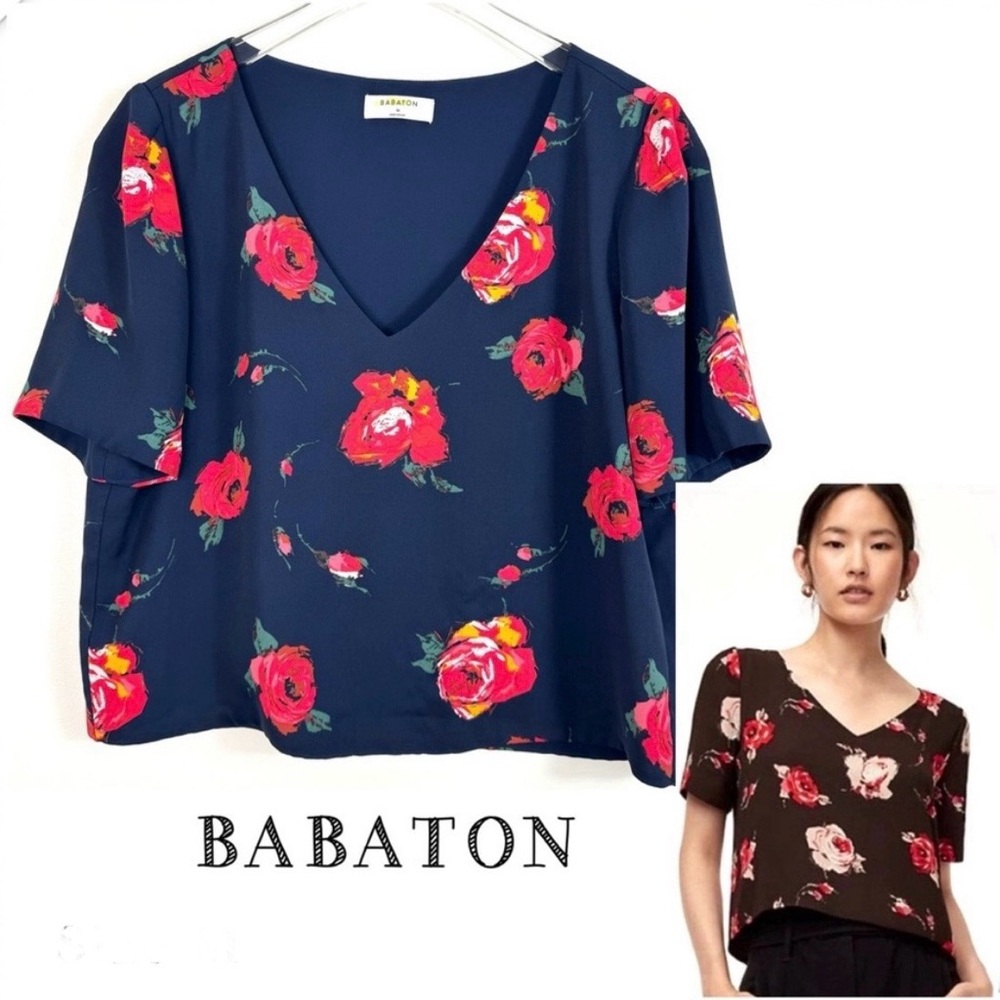 Babaton Cropped Blouse